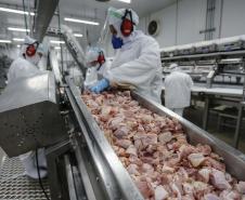 Comércio global: Paraná vendeu US$ 14,2 bilhões em alimentos e bebidas para 176 países em 2024