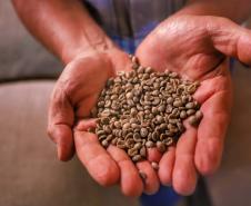 Comércio global: Paraná vendeu US$ 14,2 bilhões em alimentos e bebidas para 176 países em 2024