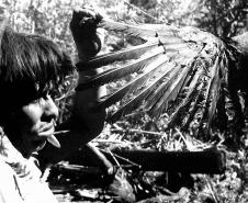 Foto: Vladimir Kozak