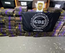 Com aumento de 155%, Paraná bate recorde de apreensão de drogas no 1º trimestre Foto: SESP