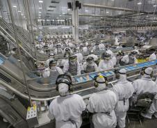 Mercado de empregos aquecido: Paraná tem 23,1 mil vagas abertas nessa semana