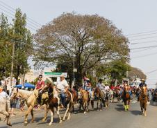 Atrações do frio: arraiás, festas da tainha e do feijão e tradições regionais movimentam o turismo