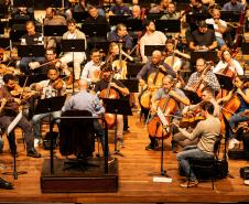 Famílias, movimentos, disposição no palco: confira como funciona uma orquestra sinfônica Foto: Roberto Dziura Jr/AEN