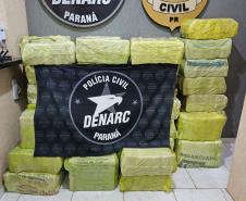Com aumento de 155%, Paraná bate recorde de apreensão de drogas no 1º trimestre Foto: SESP