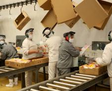 Paraná tem maior crescimento industrial do Brasil em março, 5 vezes acima da média nacional