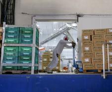 Mais de 300 cidades do Paraná registraram saldo positivo na geração de empregos em 2025