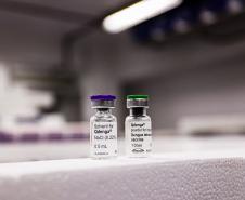Vacinação contra a dengue é ampliada para mais 102 municípios do Paraná