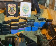Com aumento de 155%, Paraná bate recorde de apreensão de drogas no 1º trimestre Foto: SESP