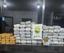 Com aumento de 155%, Paraná bate recorde de apreensão de drogas no 1º trimestre Foto: SESP