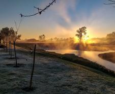 Geada dá as caras, mas frio deve diminuir nos próximos dias no Paraná