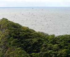 Recuperação de áreas verdes, combate ao desmatamento, cuidados com a água e a fauna e destinação correta dos resíduos sólidos: os indicadores que transformaram o Paraná em referência na proteção ao meio ambiente.