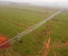 No Dia Mundial de Combate à Seca, Paraná reforça ações para garantir oferta de água