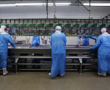 Oportunidades em todo o Paraná: semana começa com 22,9 mil vagas de empregos