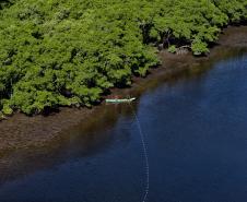 Recuperação de áreas verdes, combate ao desmatamento, cuidados com a água e a fauna e destinação correta dos resíduos sólidos: os indicadores que transformaram o Paraná em referência na proteção ao meio ambiente.