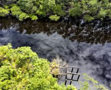 Recuperação de áreas verdes, combate ao desmatamento, cuidados com a água e a fauna e destinação correta dos resíduos sólidos: os indicadores que transformaram o Paraná em referência na proteção ao meio ambiente.