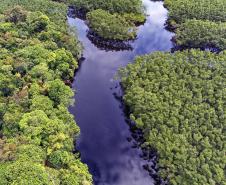 Recuperação de áreas verdes, combate ao desmatamento, cuidados com a água e a fauna e destinação correta dos resíduos sólidos: os indicadores que transformaram o Paraná em referência na proteção ao meio ambiente.