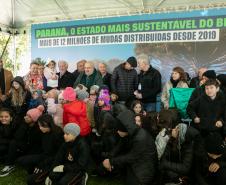 Curitiba, 24 de junho de 2025 - O governador em exercício Darci Piana plantou, no Dia Nacional da Araucária, nos jardins do Palácio Iguaçu, uma muda clonada de uma Araucaria angustifolia com cerca de 700 anos. Foto: Roberto Dziura Jr/AEN