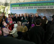 Curitiba, 24 de junho de 2025 - O governador em exercício Darci Piana plantou, no Dia Nacional da Araucária, nos jardins do Palácio Iguaçu, uma muda clonada de uma Araucaria angustifolia com cerca de 700 anos. Foto: Roberto Dziura Jr/AEN