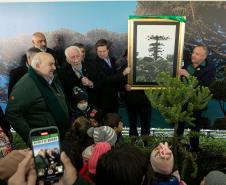 Curitiba, 24 de junho de 2025 - O governador em exercício Darci Piana plantou, no Dia Nacional da Araucária, nos jardins do Palácio Iguaçu, uma muda clonada de uma Araucaria angustifolia com cerca de 700 anos. Foto: Roberto Dziura Jr/AEN