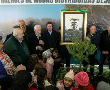 Curitiba, 24 de junho de 2025 - O governador em exercício Darci Piana plantou, no Dia Nacional da Araucária, nos jardins do Palácio Iguaçu, uma muda clonada de uma Araucaria angustifolia com cerca de 700 anos. Foto: Roberto Dziura Jr/AEN