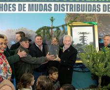 Curitiba, 24 de junho de 2025 - O governador em exercício Darci Piana plantou, no Dia Nacional da Araucária, nos jardins do Palácio Iguaçu, uma muda clonada de uma Araucaria angustifolia com cerca de 700 anos. Foto: Roberto Dziura Jr/AEN