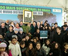 Curitiba, 24 de junho de 2025 - O governador em exercício Darci Piana plantou, no Dia Nacional da Araucária, nos jardins do Palácio Iguaçu, uma muda clonada de uma Araucaria angustifolia com cerca de 700 anos. Foto: Roberto Dziura Jr/AEN