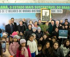 Curitiba, 24 de junho de 2025 - O governador em exercício Darci Piana plantou, no Dia Nacional da Araucária, nos jardins do Palácio Iguaçu, uma muda clonada de uma Araucaria angustifolia com cerca de 700 anos. Foto: Roberto Dziura Jr/AEN