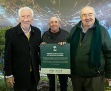 Curitiba, 24 de junho de 2025 - O governador em exercício Darci Piana plantou, no Dia Nacional da Araucária, nos jardins do Palácio Iguaçu, uma muda clonada de uma Araucaria angustifolia com cerca de 700 anos. Foto: Roberto Dziura Jr/AEN