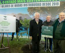 Curitiba, 24 de junho de 2025 - O governador em exercício Darci Piana plantou, no Dia Nacional da Araucária, nos jardins do Palácio Iguaçu, uma muda clonada de uma Araucaria angustifolia com cerca de 700 anos. Foto: Roberto Dziura Jr/AEN