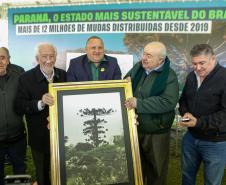 Curitiba, 24 de junho de 2025 - O governador em exercício Darci Piana plantou, no Dia Nacional da Araucária, nos jardins do Palácio Iguaçu, uma muda clonada de uma Araucaria angustifolia com cerca de 700 anos. Foto: Roberto Dziura Jr/AEN
