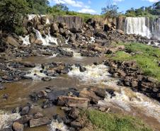 Recuperação de áreas verdes, combate ao desmatamento, cuidados com a água e a fauna e destinação correta dos resíduos sólidos: os indicadores que transformaram o Paraná em referência na proteção ao meio ambiente.