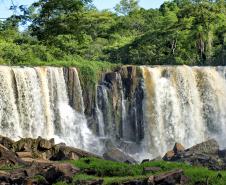 Recuperação de áreas verdes, combate ao desmatamento, cuidados com a água e a fauna e destinação correta dos resíduos sólidos: os indicadores que transformaram o Paraná em referência na proteção ao meio ambiente.