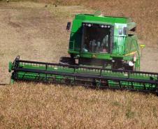 Paraná confirma novo recorde e liderança nacional na produção de feijão: 865 mil toneladas