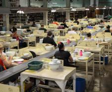 Recorde do ano: Agências do Trabalhador disponibilizam mais de 25 mil vagas de emprego
