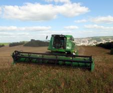 Paraná confirma novo recorde e liderança nacional na produção de feijão: 865 mil toneladas