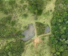 Paraná tem projeto de proteção de microbacias no campo para garantir segurança hídrica