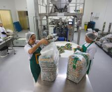 Indústria na frente: Agências do Trabalhador do Paraná têm 23,7 mil vagas de emprego abertas