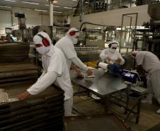 Mais de 100 mil empregados: Paraná é líder no 1º semestre nas contratações via Rede Sine
