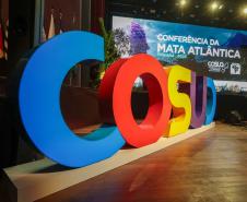 Ao vivo: governadores do Sul e Sudeste discutem meio ambiente na 13ª edição do Cosud