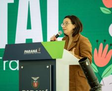 Casa Civil promove ações de saúde e bem-estar para servidores