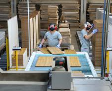 Com alta de 20,7%, Paraná consolida vice-liderança no valor da produção florestal