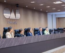 Casa Civil participa de evento na OAB e destaca articulação com o setor privado para a transição climática