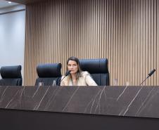 Casa Civil participa de evento na OAB e destaca articulação com o setor privado para a transição climática