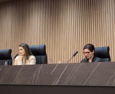 Casa Civil participa de evento na OAB e destaca articulação com o setor privado para a transição climática
