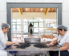 R$ 30 milhões: Estado entrega lava-louças e equipamentos para cozinhas de escolas estaduais
