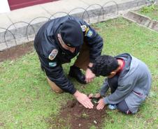 Paraná é líder nacional em áreas verdes nas escolas; número de quadras esportivas bate recorde