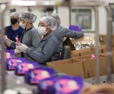 Com alta de 4,3%, Paraná registra 3ª maior alta industrial do País em 2025, mostra IBGE