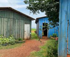 CEC Aprendendo com a Terra e com a Vida - Cascavel - Antes