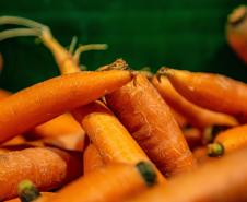 Mais de 17 mil toneladas de alimentos da agricultura familiar abastecem escolas do Paraná anualmente