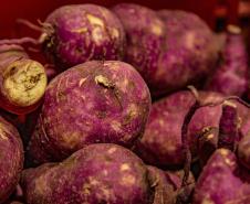 Mais de 17 mil toneladas de alimentos da agricultura familiar abastecem escolas do Paraná anualmente